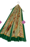 Scarf Green Leopard And Aztec Stripe Frayed Scarf